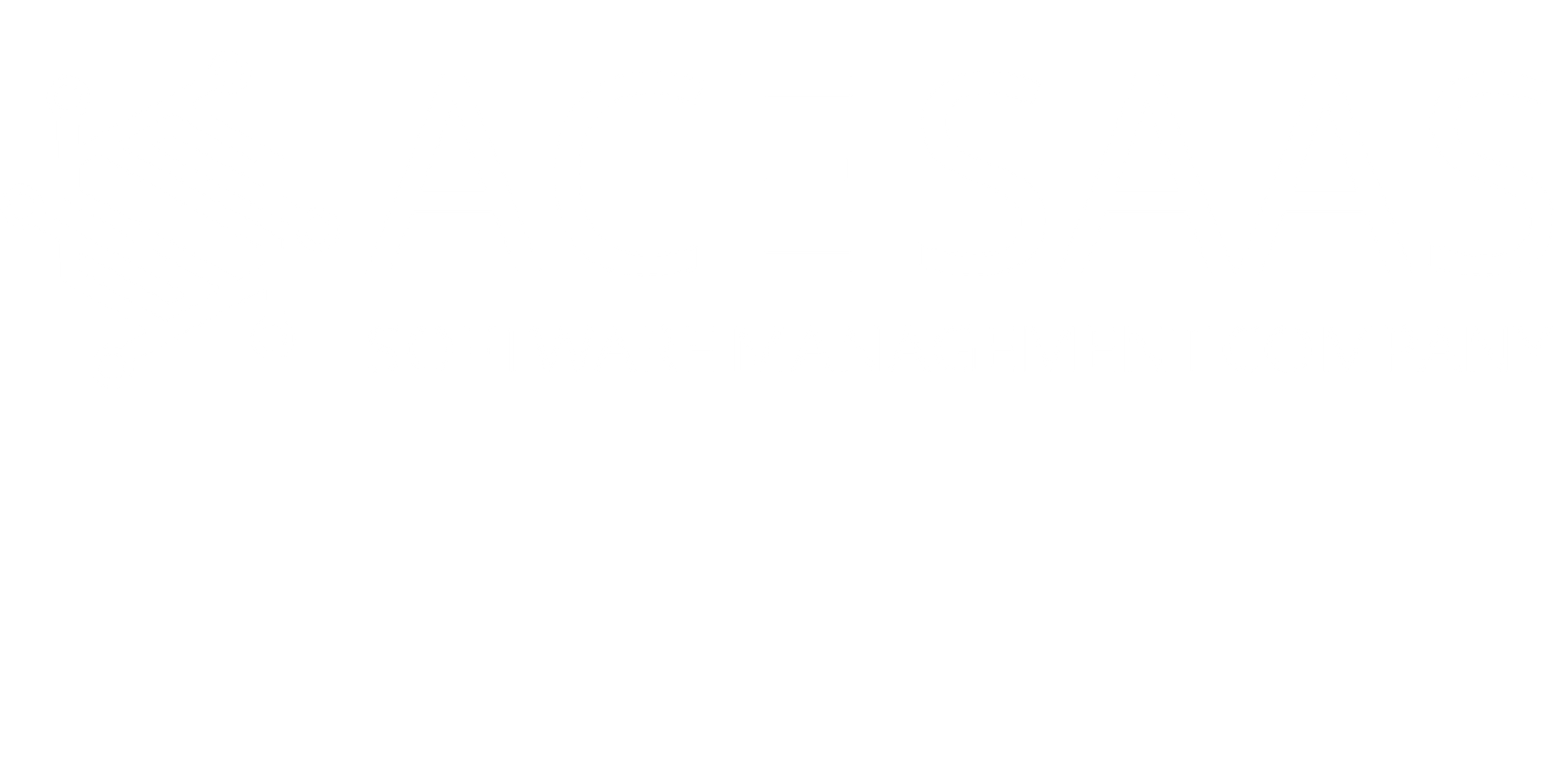 SAAS BY ACE
